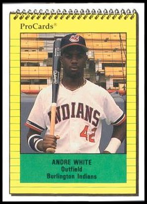 3319 Andre White
